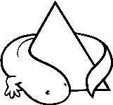 Staatliches Museum f&uuml;r Naturkunde Karlsruhe