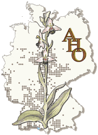 Arbeitskreis Heimische Orchideen